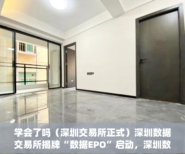 学会了吗（深圳交易所正式）深圳数据交易所揭牌“数据EPO”启动，深圳数字交易所，