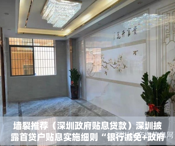 墙裂推荐（深圳政府贴息贷款）深圳披露首贷户贴息实施细则“银行减免+政府贴息”打破“首贷”难，深圳贷款贴息政府补助，