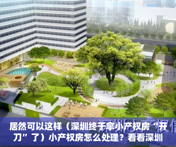 居然可以这样（深圳终于拿小产权房“开刀”了）小产权房怎么处理？看看深圳怎么做！，深圳那么多小产权房怎么处理，